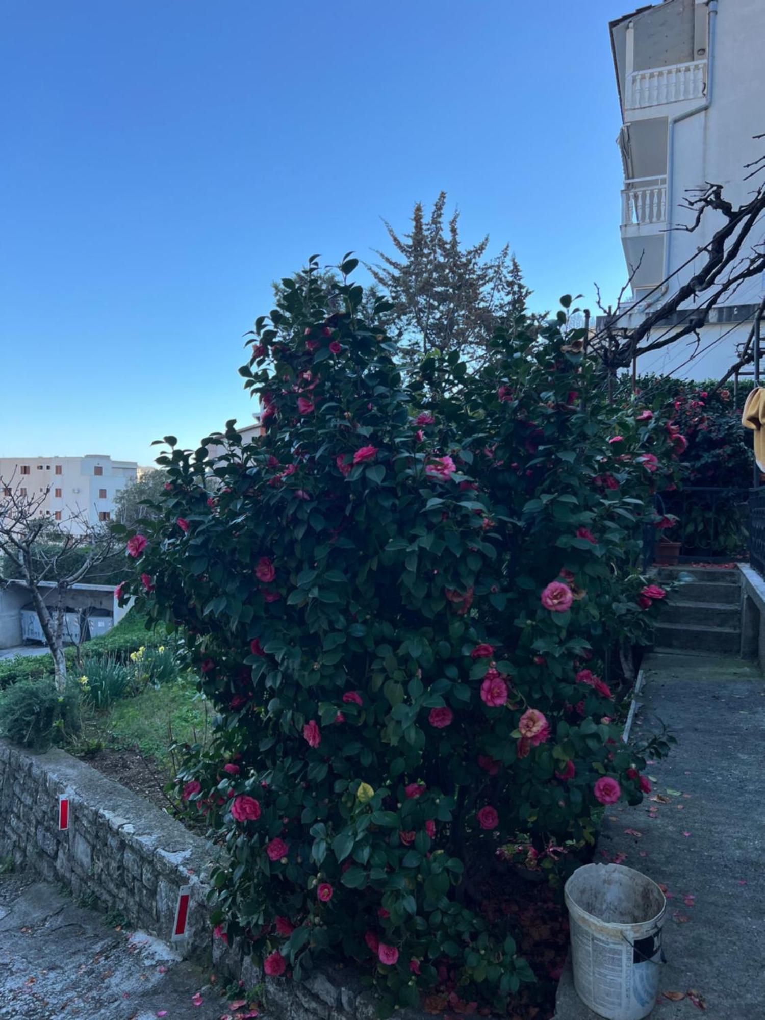Guest House Plima 2 Будва Екстериор снимка