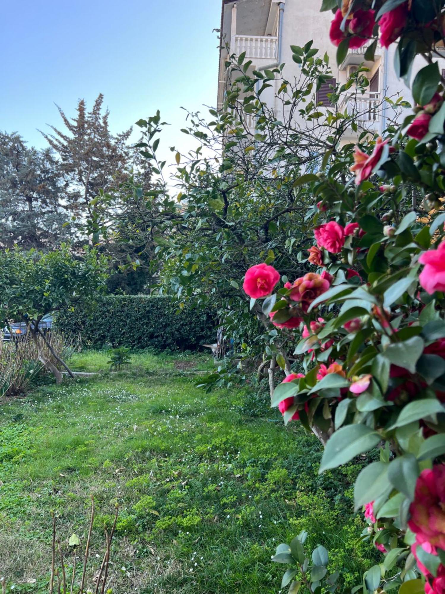 Guest House Plima 2 Будва Екстериор снимка