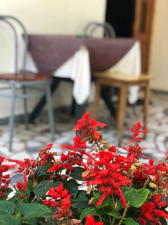 Guest House Plima 2 Будва Екстериор снимка